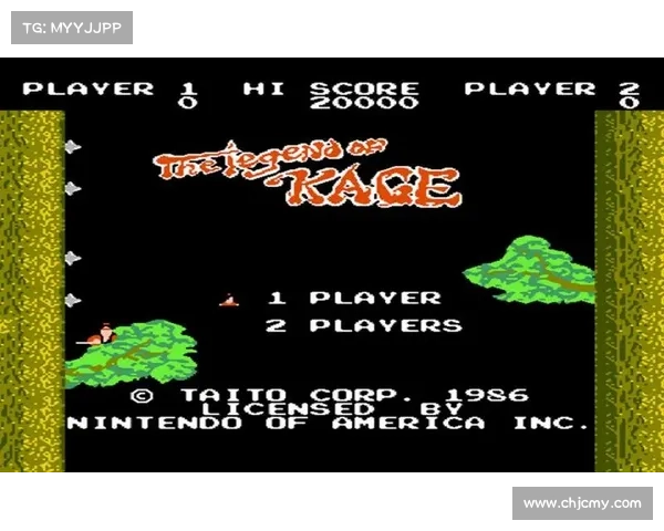 斩魂影子传说复仇之影的真相揭示与深层谜团探索